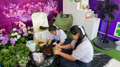 LINE ALBUM นิทรรศการ-41168 251111 19-Suphitcha-Khamhaeng