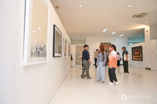 DSC 5481