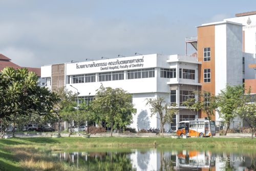 DSC 5527