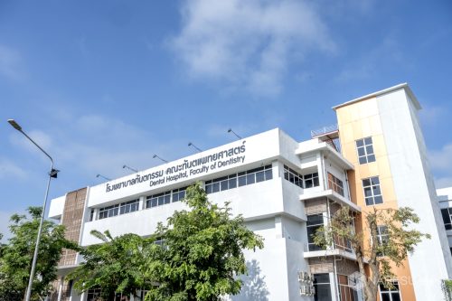 DSC 5537